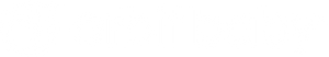 Orbit Baby