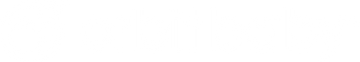 Orbit Baby